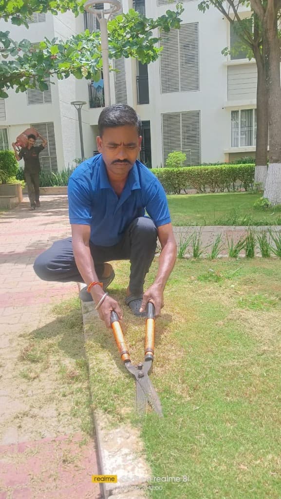 Precision Gardening & Hedge Care